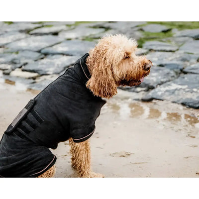 Kentucky - Accappatoio per cani - Detergenti e Igiene