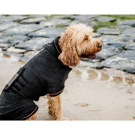 Kentucky - Accappatoio per cani - Detergenti e Igiene