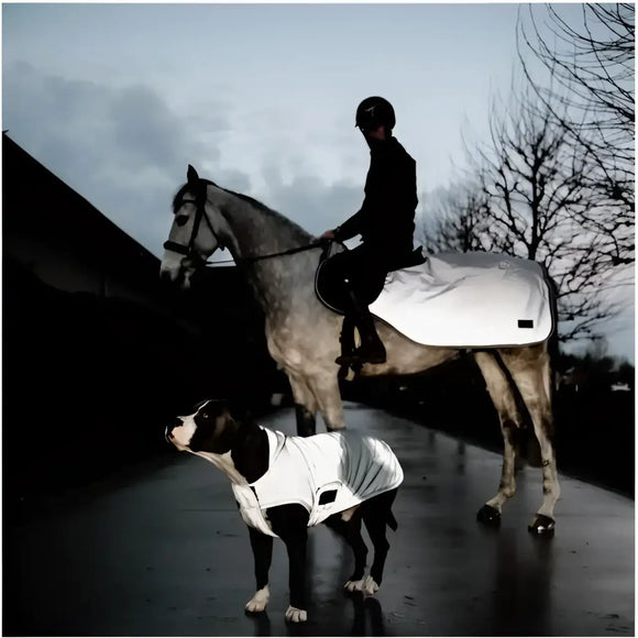 Kentucky - Belly Cover Cappotto per cani Riflettente e idrorepellente - S - Impermeabili