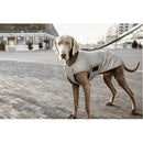 Kentucky - Belly Cover Cappotto per cani Riflettente e idrorepellente - S - Impermeabili