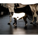 Kentucky - Belly Cover Cappotto per cani Riflettente e idrorepellente - S - Impermeabili