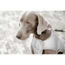 Kentucky - Belly Cover Cappotto per cani Riflettente e idrorepellente - S - Impermeabili