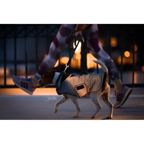 Kentucky - Cappotto per cani riflettente - Impermeabili