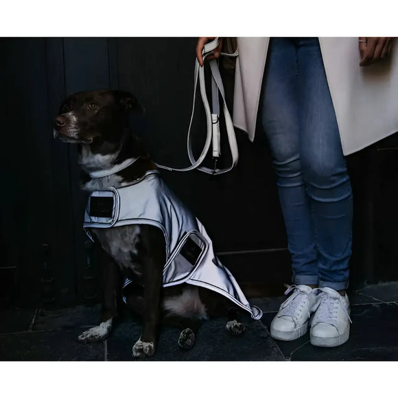Kentucky - Cappotto per cani riflettente - Impermeabili