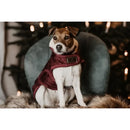 Kentucky - Cappotto Original - Cappottini