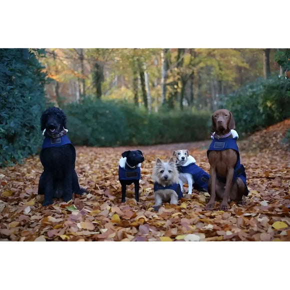 Kentucky - Cappotto Original - Cappottini