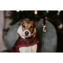 Kentucky - Cappotto Original - Cappottini