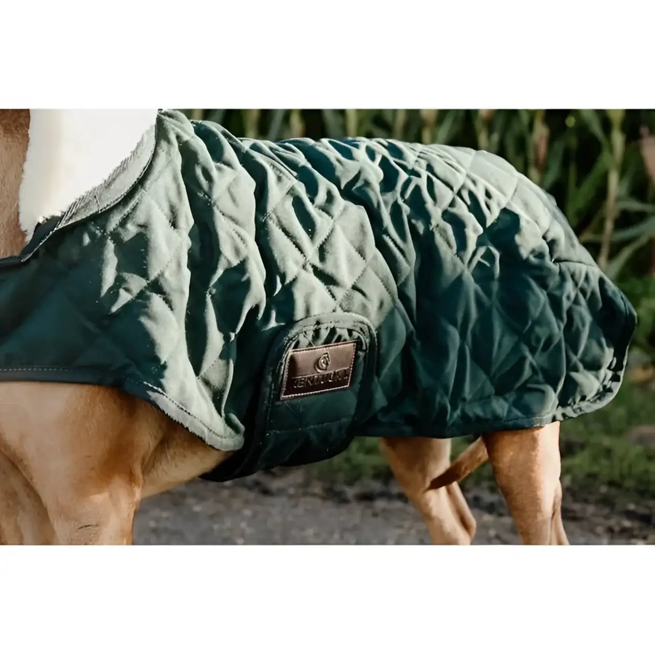 Kentucky - Cappotto Original - Cappottini