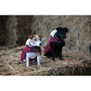 Kentucky - Cappotto Original - Cappottini