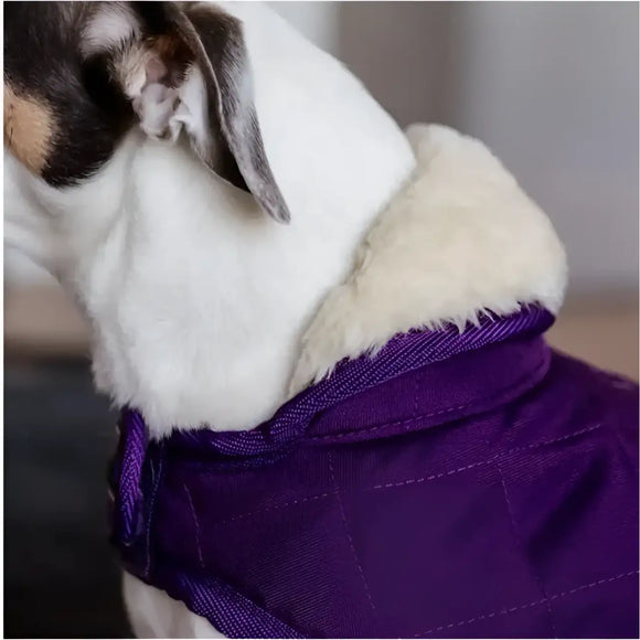 Kentucky - Cappotto Original - Cappottini