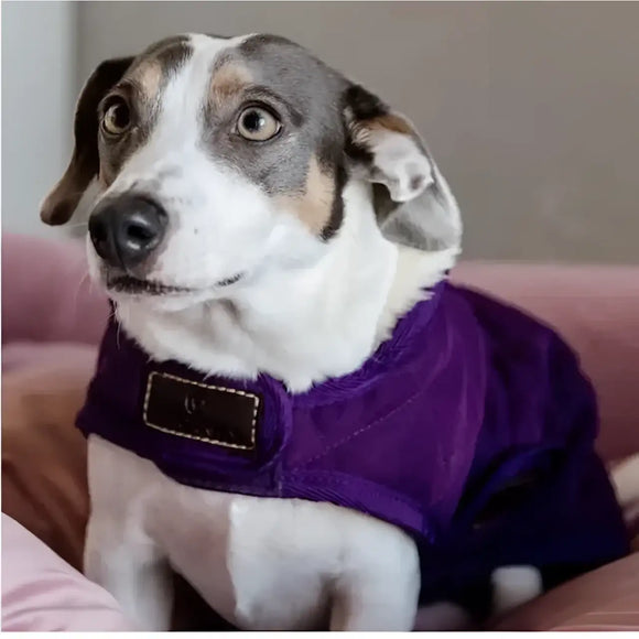 Kentucky - Cappotto Original - Cappottini