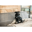 Kentucky - Cappotto Original Black - Cappottini