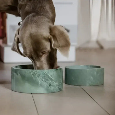 Kentucky - Ciotola per cani in marmo - Ciotole