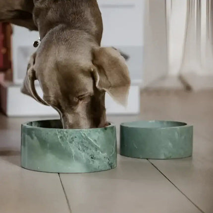 Kentucky - Ciotola per cani in marmo - Ciotole