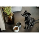 Kentucky - Ciotola per cani in marmo - Ciotole