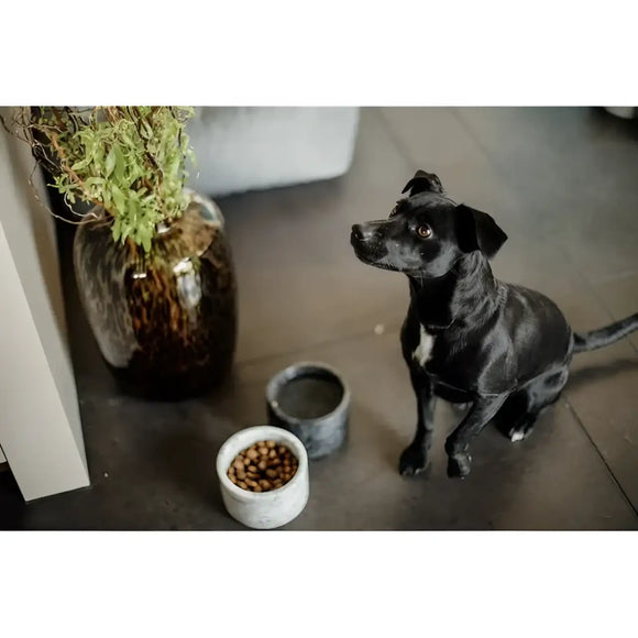 Kentucky - Ciotola per cani in marmo - Ciotole