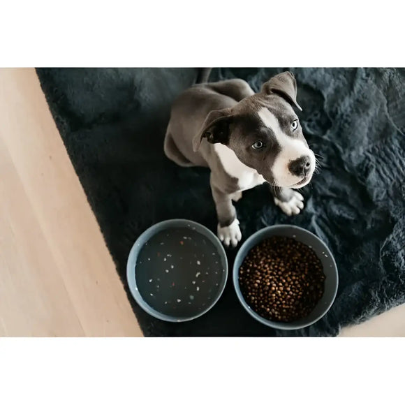 Kentucky - Ciotola per cani Terrazzo in bambù - Ciotole