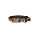 Kentucky - Collare per cani in nylon intrecciato Beige - XS - Collari