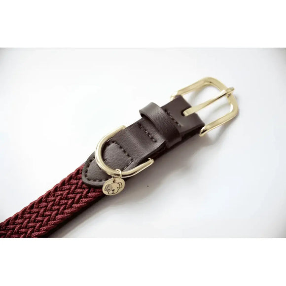 Kentucky - Collare per cani in nylon intrecciato Bordeaux - Collari