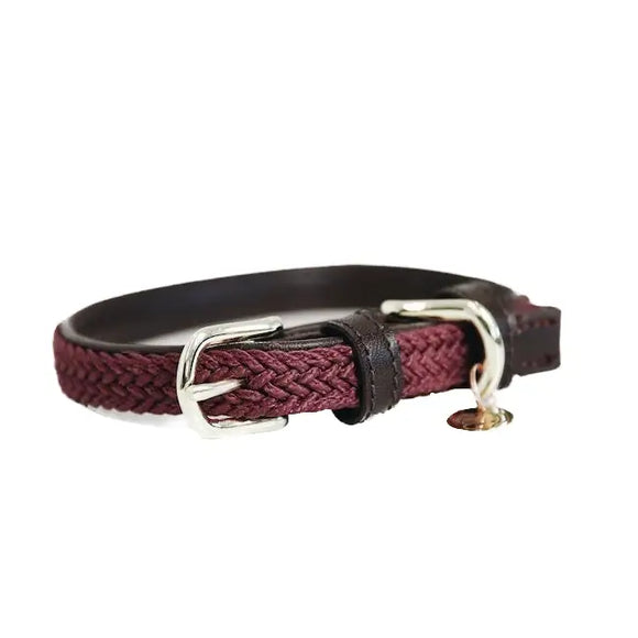 Kentucky - Collare per cani in nylon intrecciato Bordeaux - XS - Collari