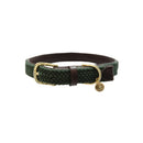 Kentucky - Collare per cani in nylon intrecciato Verde Oliva - S - Collari