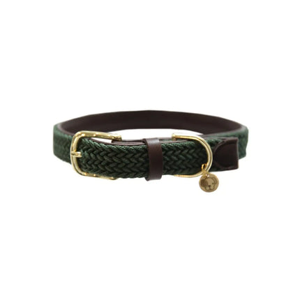 Kentucky - Collare per cani in nylon intrecciato Verde Oliva - S - Collari