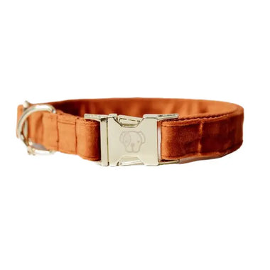 Kentucky - Collare per cani in velluto Arancione - XS - Collari