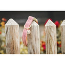 Kentucky - Collare per cani in velluto Rosa Antico - Collari