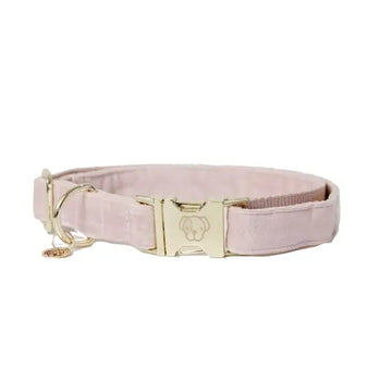 Kentucky - Collare per cani in velluto Rosa Antico - XS - Collari
