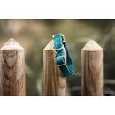 Kentucky - Collare per cani in velluto Smeraldo - Collari