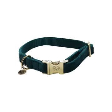 Kentucky - Collare per cani in velluto Smeraldo - XS - Collari