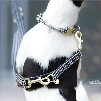 Kentucky - Guinzaglio regolabile per cani Pied-de-Poule - Nero - Guinzagli