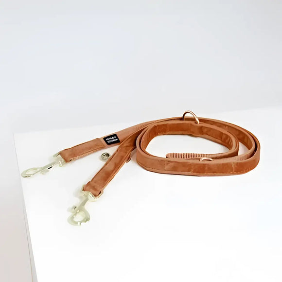 Kentucky - Guinzaglio regolabile per cani Velvet - Arancione - Guinzagli