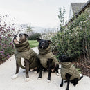 Kentucky - Impermeabile per cani Pina - Impermeabili