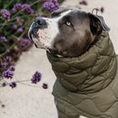 Kentucky - Impermeabile per cani Pina - Impermeabili