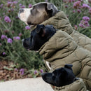 Kentucky - Impermeabile per cani Pina - Impermeabili