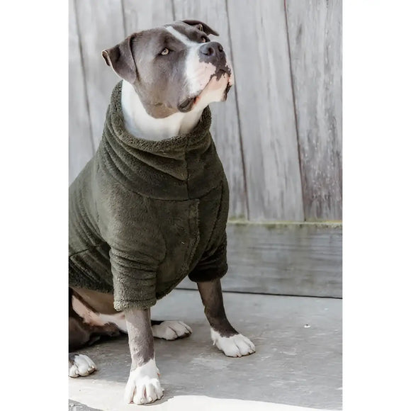 Kentucky - Maglione per cani Teddy Fleece - Maglioncini