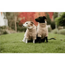 Kentucky - Maglione per cani Teddy Fleece - Maglioncini