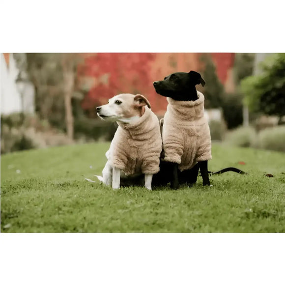 Kentucky - Maglione per cani Teddy Fleece - Maglioncini