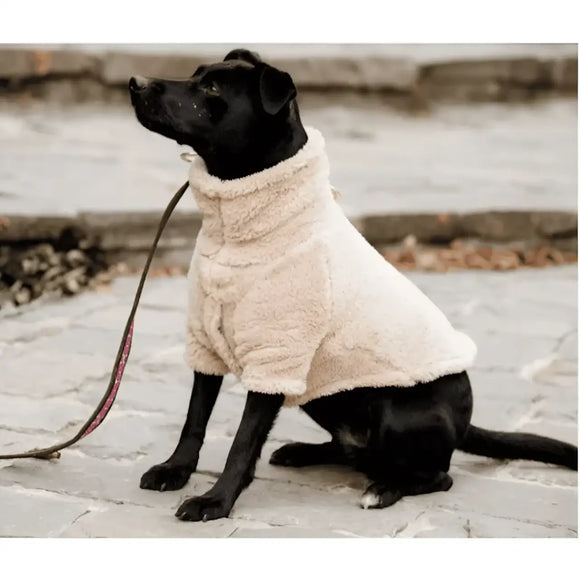 Kentucky - Maglione per cani Teddy Fleece - Maglioncini