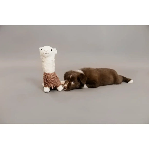 Kentucky - Peluche per Cani Alpaca Alfredo - Giochi
