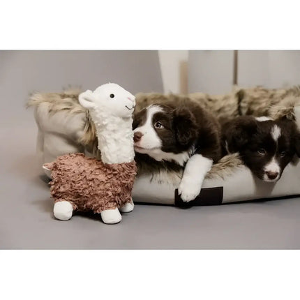 Kentucky - Peluche per Cani Alpaca Alfredo - Giochi