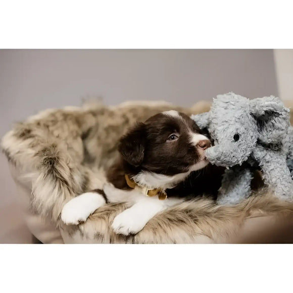 Kentucky - Peluche per Cani Elefante Elsa - Giochi