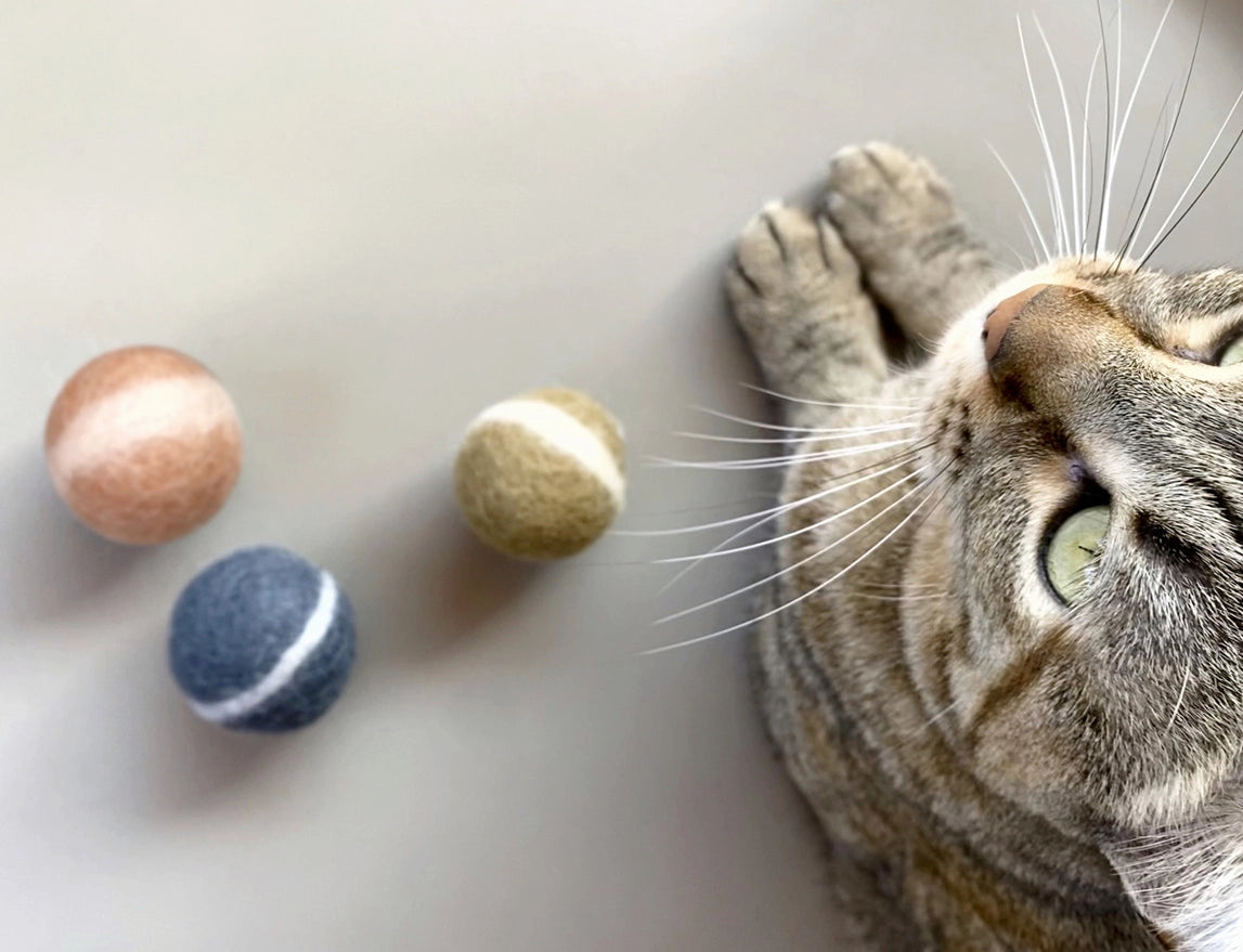 Mishum - Boules de jeu en feutre pour chiens et chats