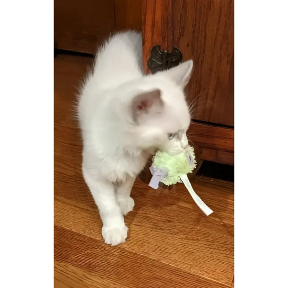 Kong - Cat Kitten Mice - Giochi