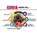 Kong Extreme - Giochi
