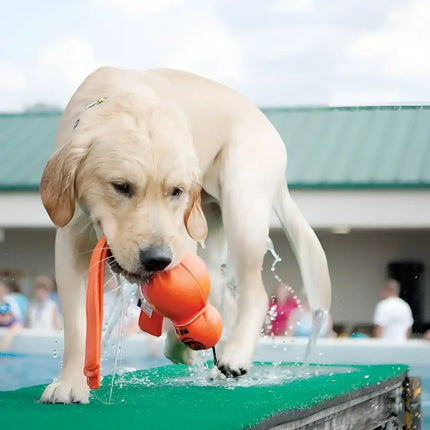 Kong - Wet Wubba Large - Giochi