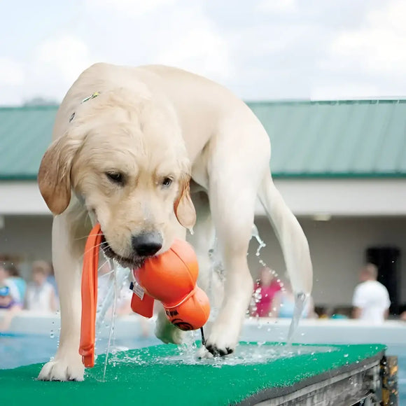 Kong - Wet Wubba Large - Giochi