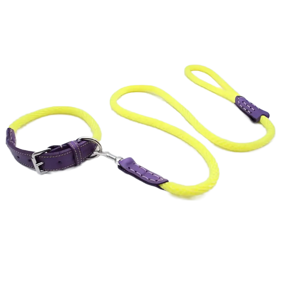 Sailing Line set in Yellow & Purple