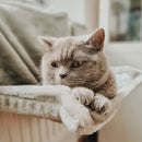 Ne&No - camita para gatos para radiador - ajustable-8